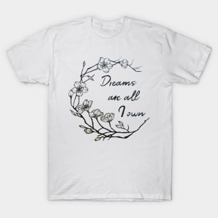 Dreams are all I own T-Shirt